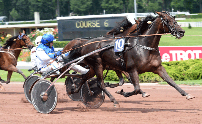 Ravenna vandt i fjor fire sejre i fem starter på Enghien.Foto Gerard Forni