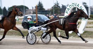 Re Italino Ur med Enrico Bellei vandt Le Padovanelle. Foto Gerard Forni