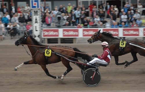 Rajesh Face  med Lutfi Kolgjini sætter ny Europarekord med 1.13.2/2140 m volte foran Alibir. Foto Halmstad Travet