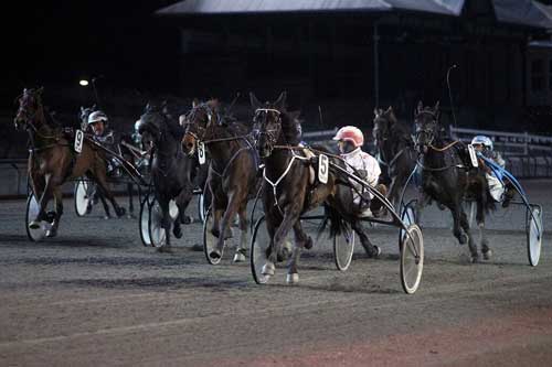 Rapide du Pommeau vandt let Taroks Mindelรธb og Flemming Jensen havde tid til at se, hvor konkurrenterne blev af. Foto Martin Timm Holmsyav