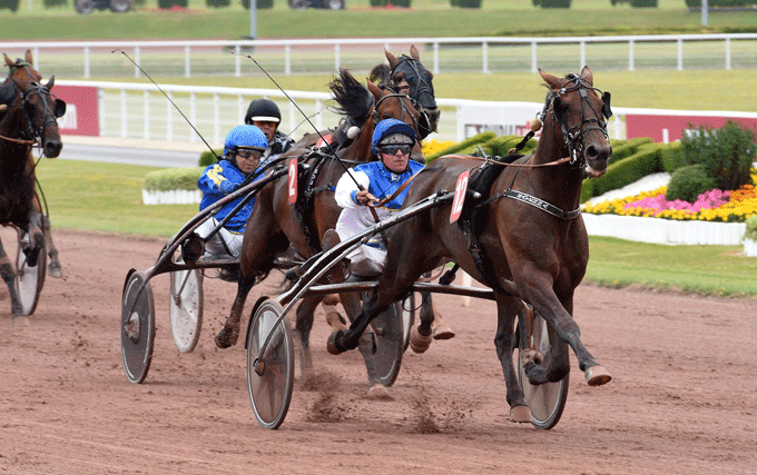 Ravenna med Franck Nivard vandt sikkert sin seneste start pรฅ Enghien i begyndelsen af august mรฅned. Foto Gerard Forni