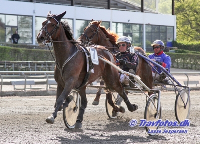 Ray-Ban, der er lillebroder til Obi-Wan er nu i træning i Frankrig