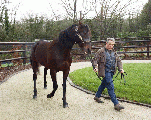 Ready Cash - godt tilpas