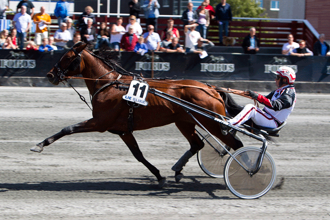 Ready Eddie - topchance i det norske derby!