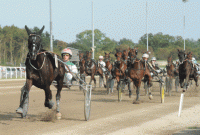 Red Rose America er il start på Vincennes. Foto Ole Hindby