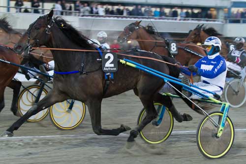 Remee La Marc. Arkiv Eurik Stenhaug