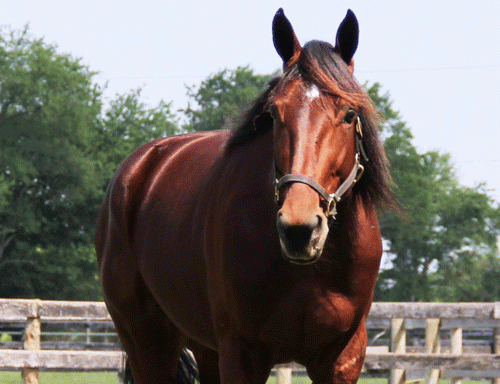 Resolve. Foto Ken Weingartner