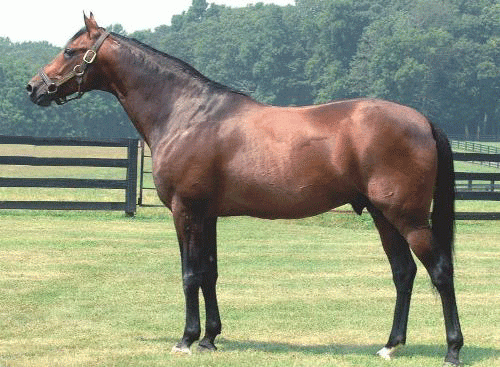 Revnue - fader til Chez Simoni