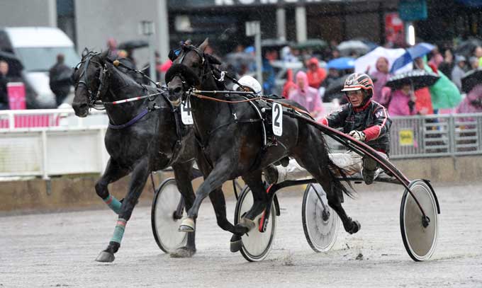 Ringstarr Treb vinder finalen i Sweden Cup - Magiccaroetride er i inderbanen og bkev ikke fanget af Gerard Fornis linse.
