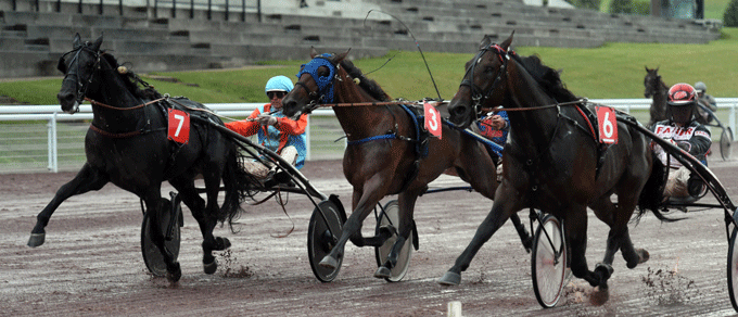 Det dramatiske opløb med Robin B i inderbanen, Rue du Bac udvendigt og Tast of Bourbon i midten. Foto Gerard Forni