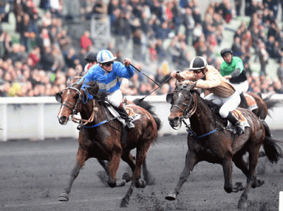 Scarlet Turgot afviser Astor de Quenne og vinder Prix de Cornulie 2016. Foto Gerard Forni
