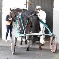 Stelton med Jeppe Juel har fået et dåræligt startspor i Guldivisionen. Foto Gerard Forni