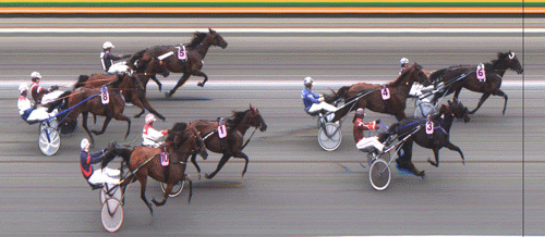 Sauveur---jarrlsberg