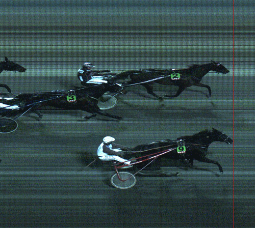 Savanna Bee bliver fanget på målstregen af Ragazzo.