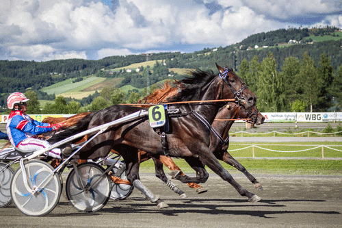 Shotproof med Per Oleg Midtfjeld gik uimodeståeligt frem i opløbet til sejr. Foto Eirik Stenhaug