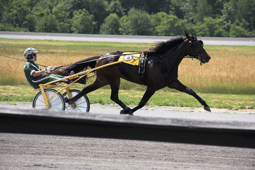 Sianna Hanover med Yannick Gingras. Foto Ken Weingartner