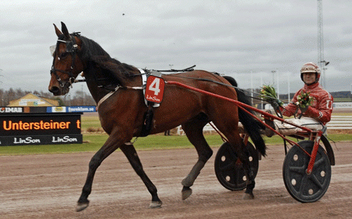 Smaragd med Peter Untersteiner på æresrunde efter  sejren på Halmstad. Foto Halmstad Travet