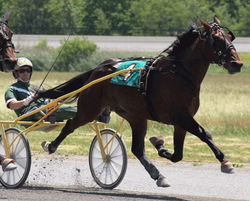 Southwind Cobra -. verdens hidtil hurtigste 2-åring i år 1.14.0. Foto Ken Warkentin