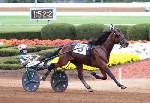 Southwind-Frank-(Mark-Hall-photo)