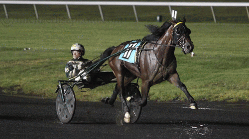 Southwind Frank med Yannjick Gingras vandt let i nat. Foto Lisa Photo