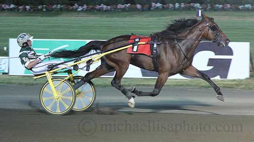 Southwind Frank med Yannick Gingras var รฅrets hurtigste 2-รฅring i verden i fjor med 1.09.8