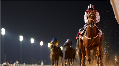 Special Fighter vandt Al Maktoum Challnge i fjor, men har ikke startet siden fjerdepladsen i Dubai World Cup 2016. Foto Andrew Watkins