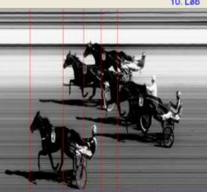 Choclate Day med Johnny Takter vinder Sprintermesteren foran Elton Attack, Dave Briggs, White Russian og Europoort Pride