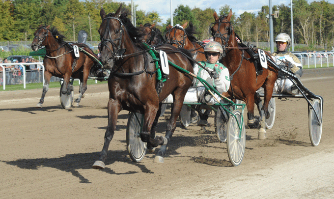 Steltons lette sejr for Jeppe Juel. med Stand and Deliver ed Birger Jørgensen siddende i ryg. Foto Ole Hindby