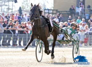 Stelton - har holdt helt fri for træning