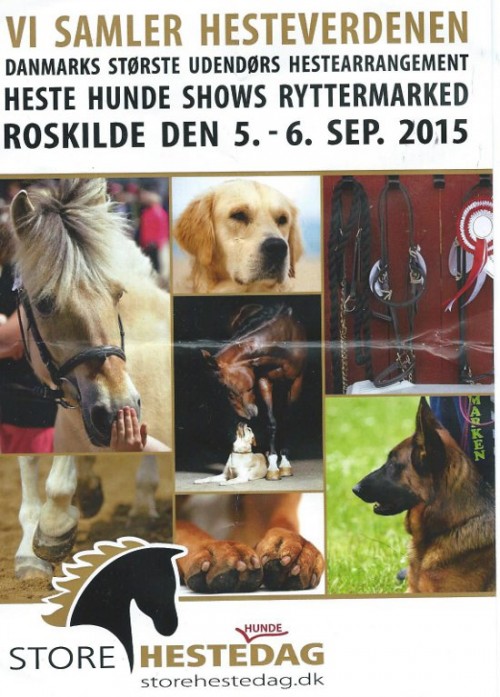 StoreHestedagannonce