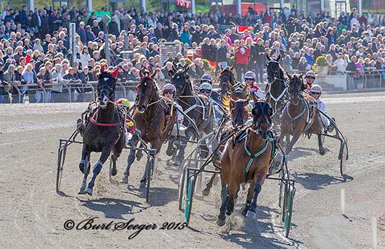 Sving_CC-20150510_89F2919