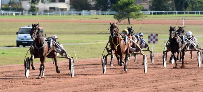 Swedishman med Franck Nivard varndt sikkert i Bordeaux. Foto Gerard Forni