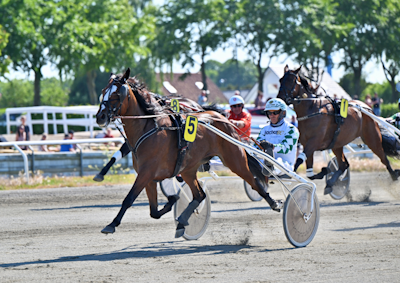 Targaryan solgt til Holland