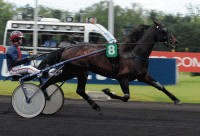 Texas Charm har kursen sat mod Pix d'Amerique. Foto Gerard Forni