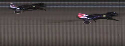 Tack Wee  vinder sikkert oran Bale MB