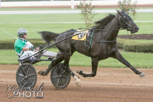 Frankrig sagde Ja Tak til Tactical Landing