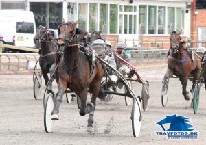 Tano Bork - skal nu prøves i monte-løb