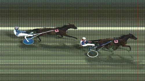 Tarzan Simoni vinder sikkert foran Cantab Jones