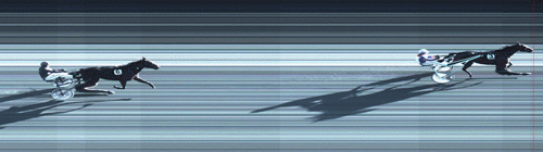 Te Amo med Per Oleg Midtfjeld sikrer รฅrets fรธrste sejr til Bo Westergaard-stalden