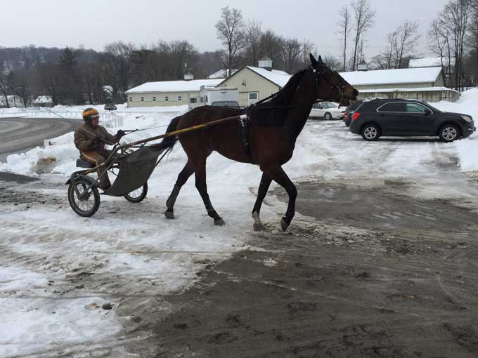 Et aktuelt foto af den 2årige Broad Bahn-søn That's Life med træner Ray Schnittker 