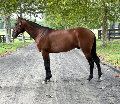 Den oversete Chapter Seven-søn  – Third Shift