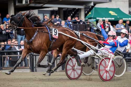 Per Oleg Midtfjeld her med hoppederbyvinderen This is It - Foto Eirik Stenhaug