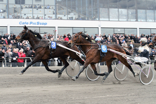 V5-spillet staertede med en sor overraskelse,da Tine Sølvbjerg med Henrik Lønborg kunne vinde til 35 gange pengene. Foto Martin Timm Holmstav