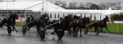 Trebol med Gabriel Angel Pou Pou vinder sikkert Prix de Luxembourg på en stærk afslutning, Foto Gerard Forni