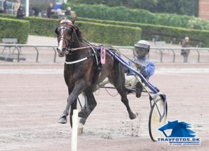 Tumble Dust - storfavorit i Broad Bahn Dansk Trav Derby