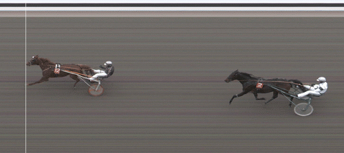 Twin Peaks var den anden af Ken Ecces vinderheste på Jägersro tirsdag middag,