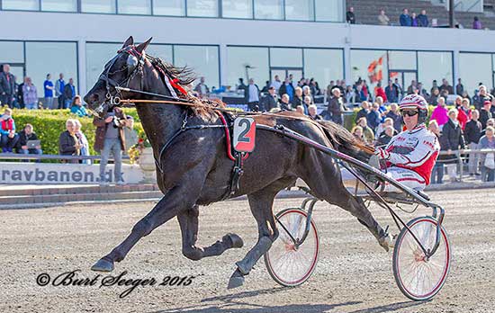 Endnu en toptraver fra Paul Hagoorts talentfabrik, Tyrrell AS.
