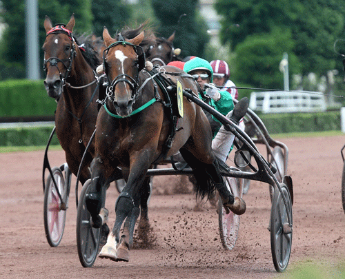 Un Mec d'Heripre vinder Prix de Washington i 1.09.9. Foto Gerard Forni