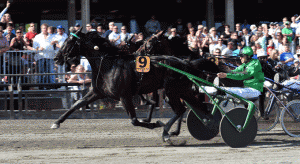 Univers de Pan med Philippe Daugeard vandt en sikker sejr i Oslo Grand Prix. 2014 Foto Gerard Forni