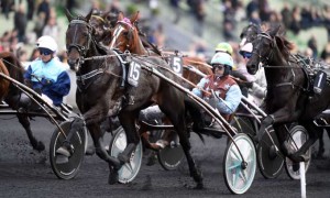 Up and Quick er ot favorit til Prix d'Amerique. Foto Gerard Forni